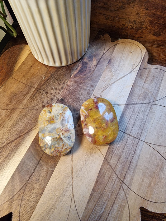 Crazy Lace Agate palm stones