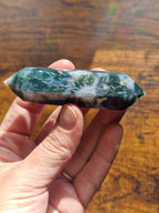 Moss Agate Double Terminated Point
