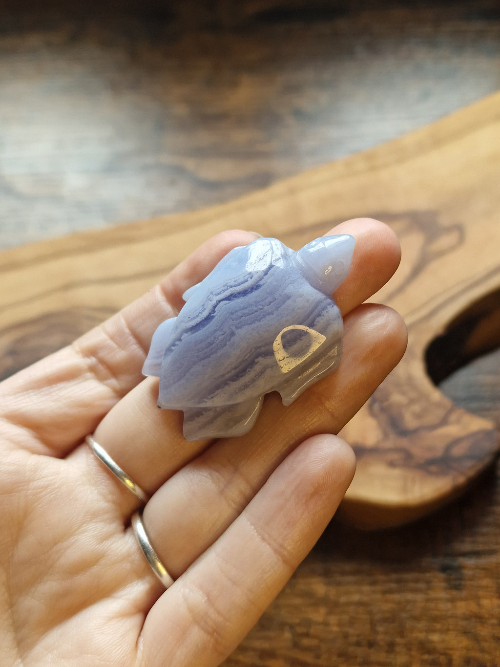 Blue Lace Agate Turtle Carving