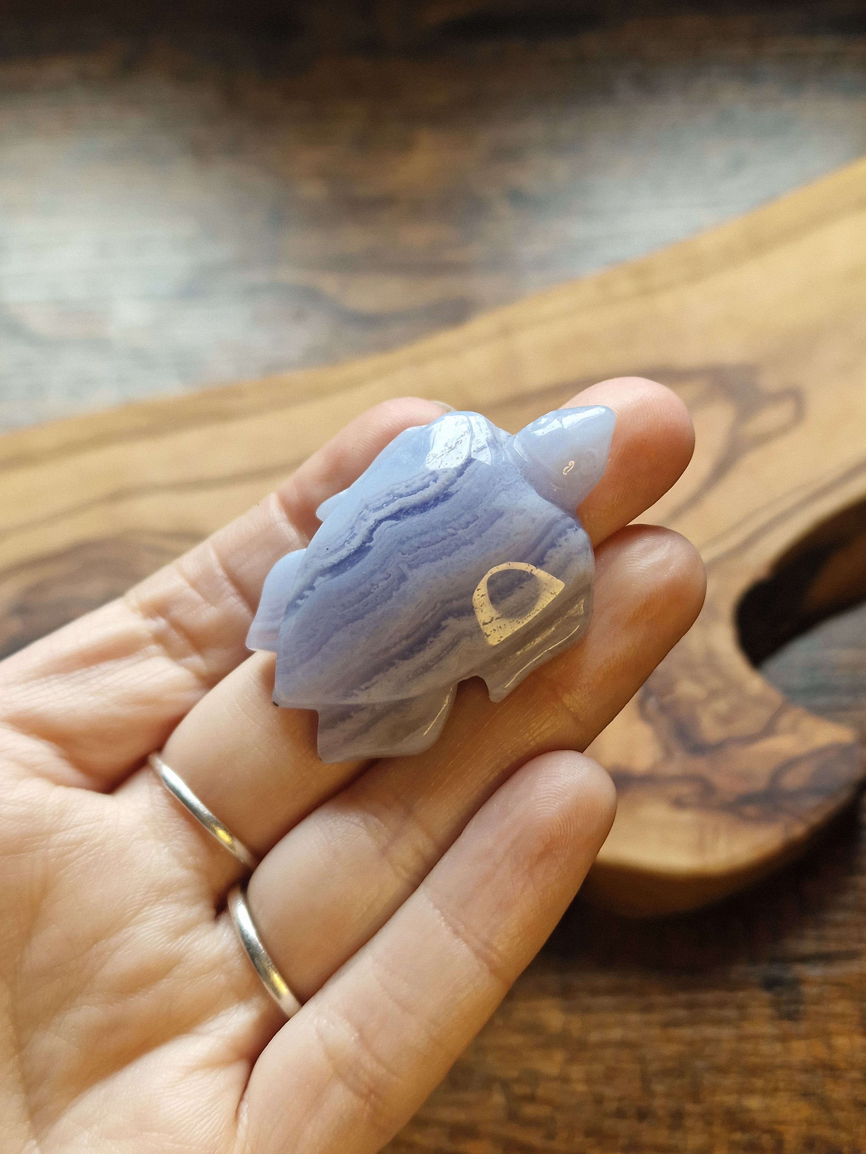 Blue Lace Agate Turtle Carving