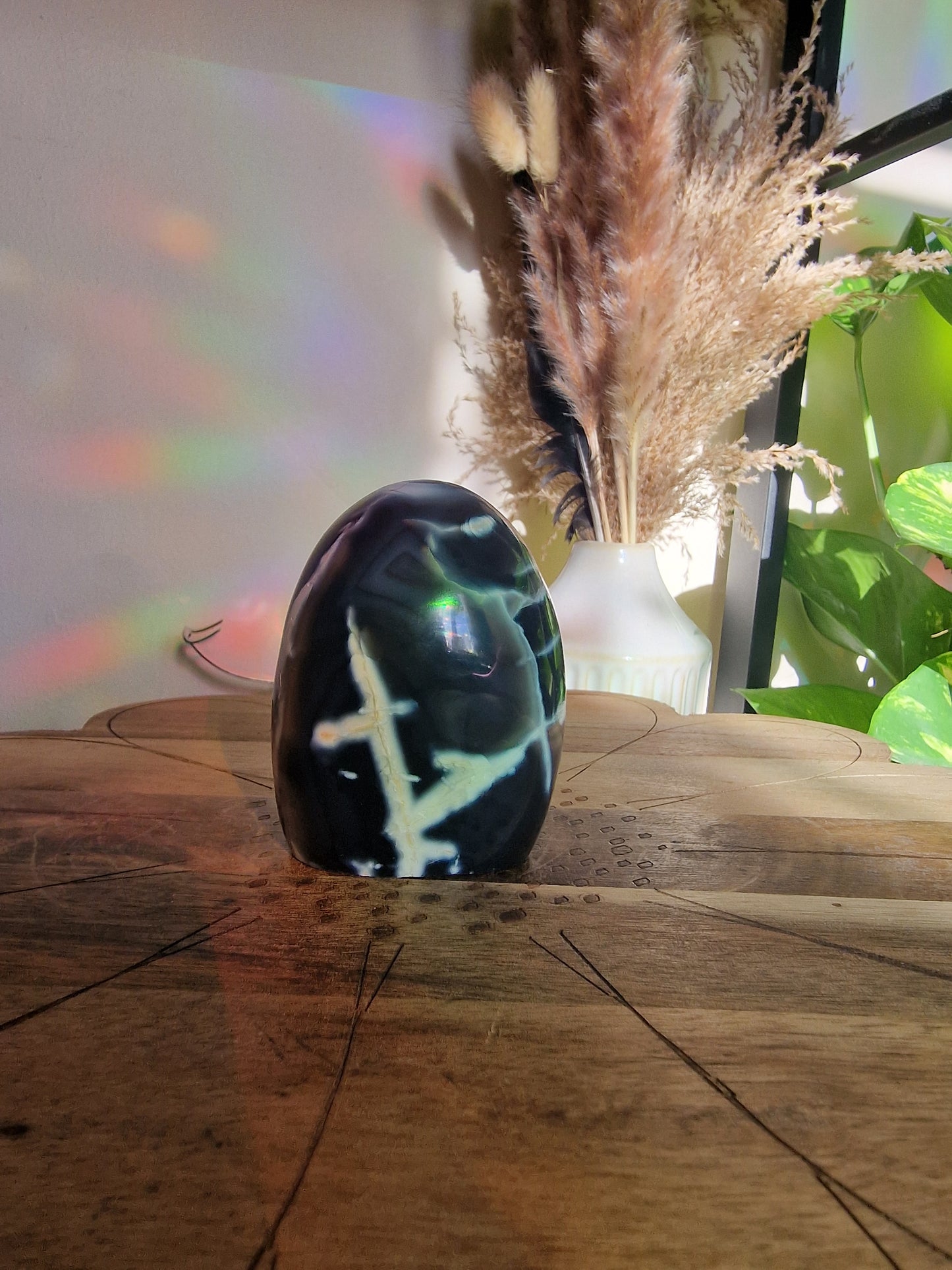 Orca Agate Freeform 🌊🐋