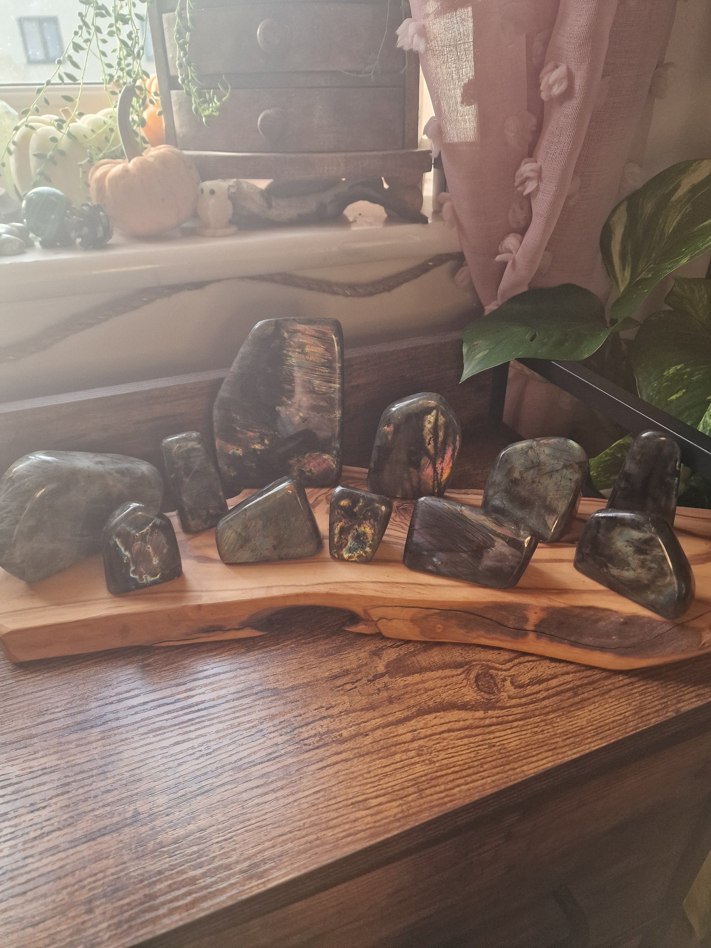 Labradorite freeforms ~ choose your own