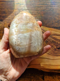 Peach Moonstone Freeform