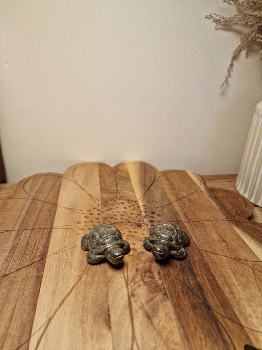 Pyrite turtles 🐢(Intuitively chosen)