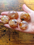 Flower Agate Mini Palm / Pocket Stone