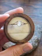 Ivy Split Chevron with Rainbow Moonstone Ring Size T