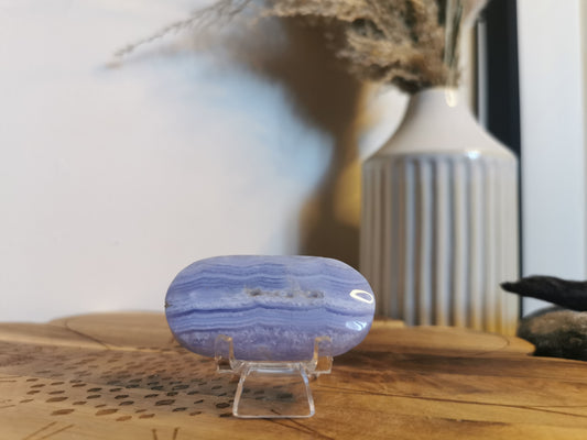 Blue Lace Agate palm💙