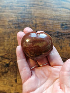 Fossilised Wood Hearts • Pick your own
