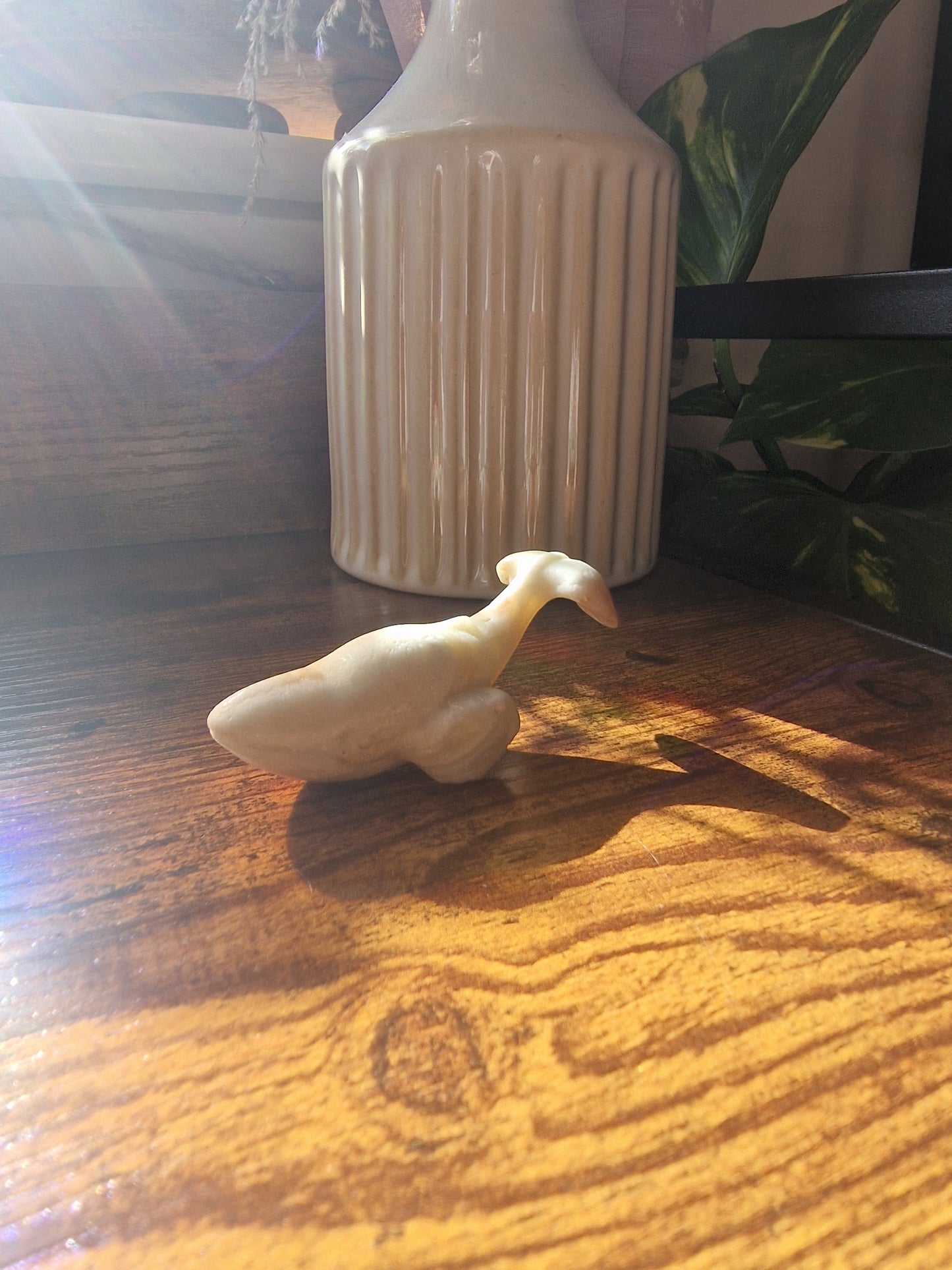 Caribbean Calcite Whale (~7cm)