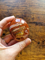 Mini Fossil Wood Freeform
