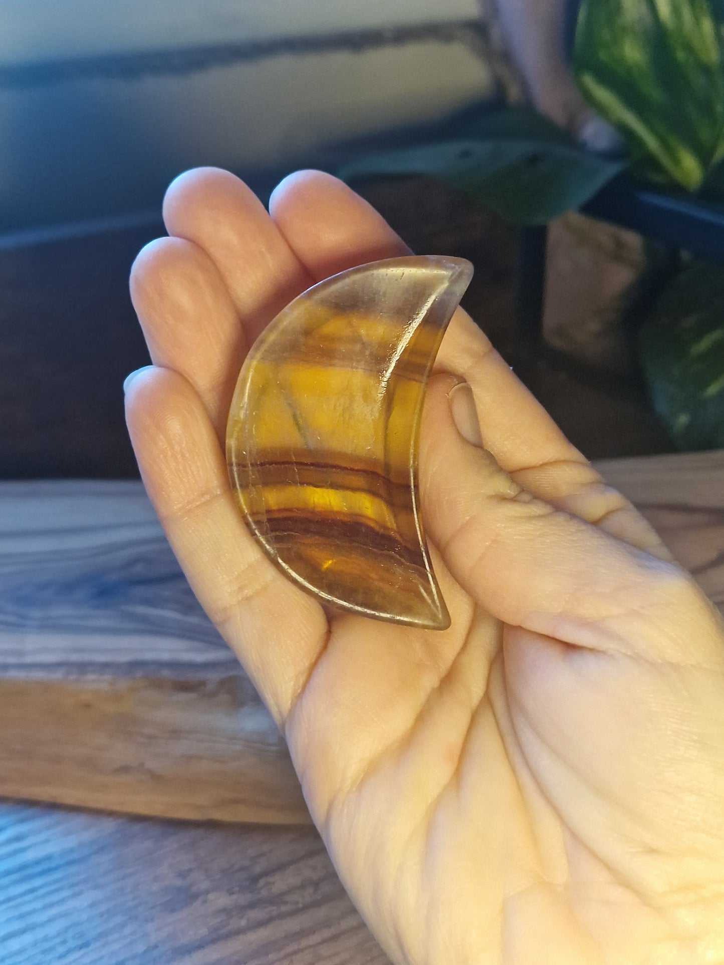 Fluorite Moon Dishes