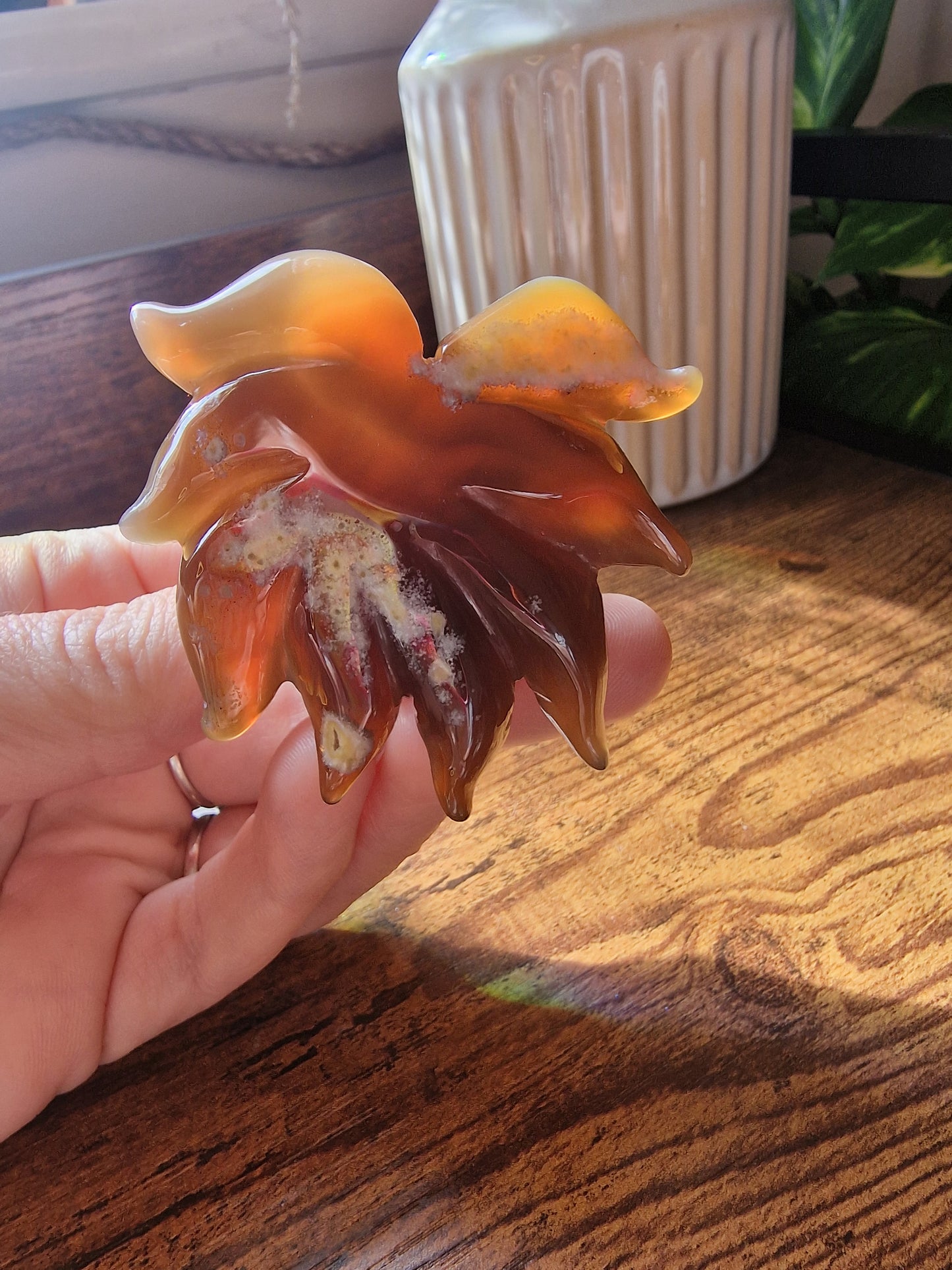 Banded Agate Octopus (5~6cm)
