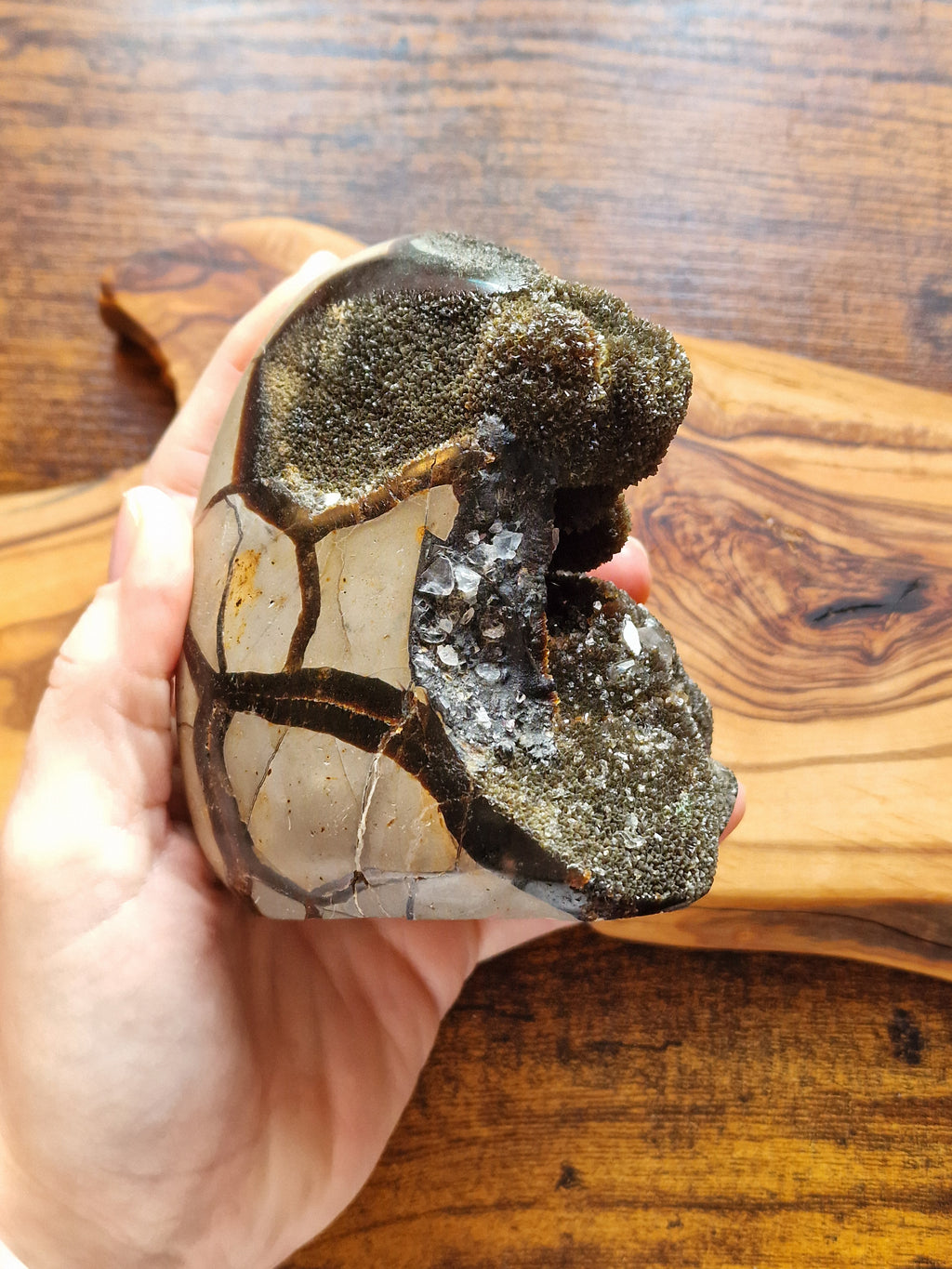 Septarian Freeform