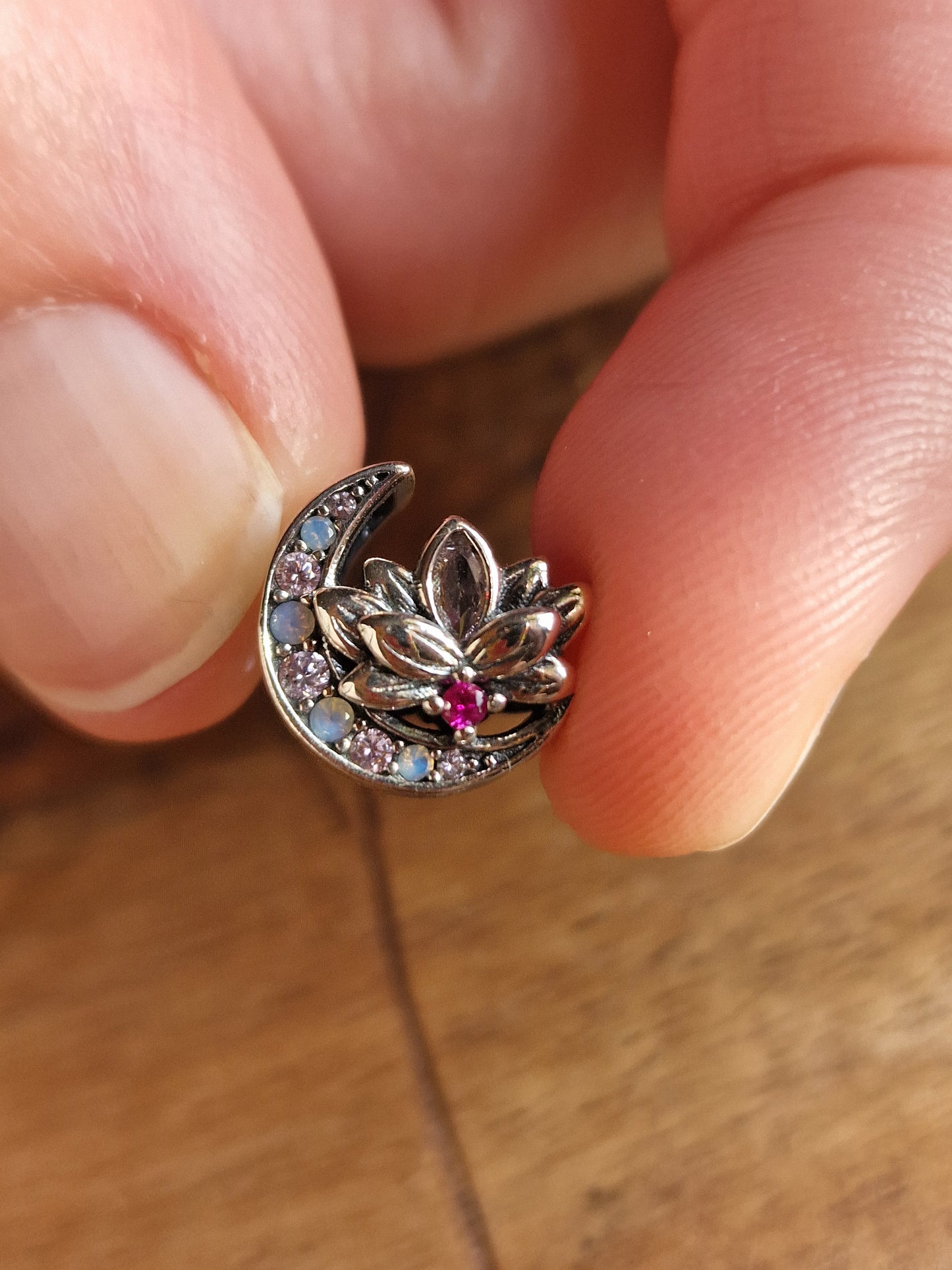 Sterling Silver Charm Collection