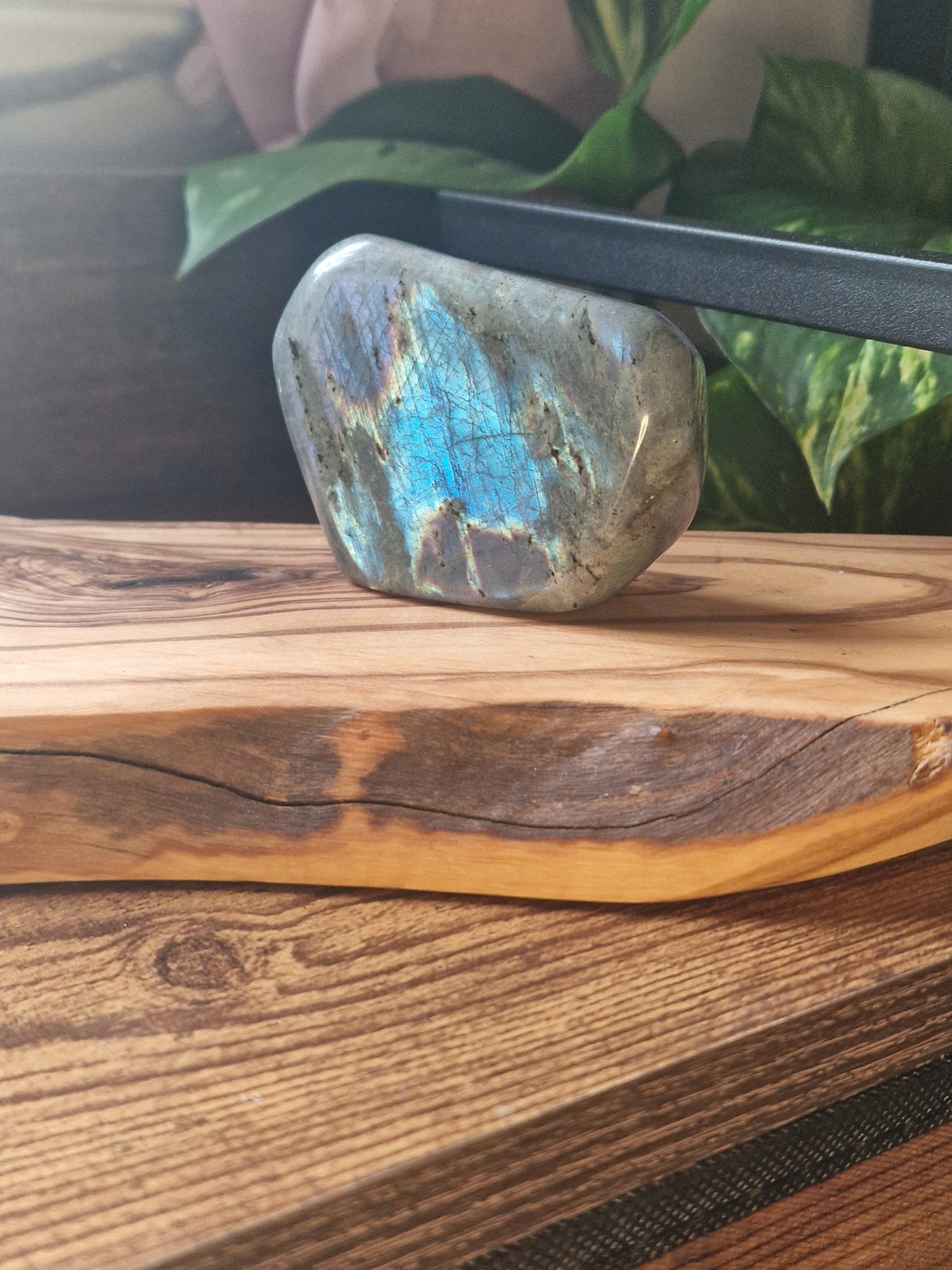 Labradorite freeforms ~ choose your own