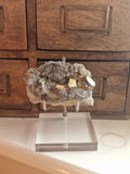Pyrite & Quartz Cluster
