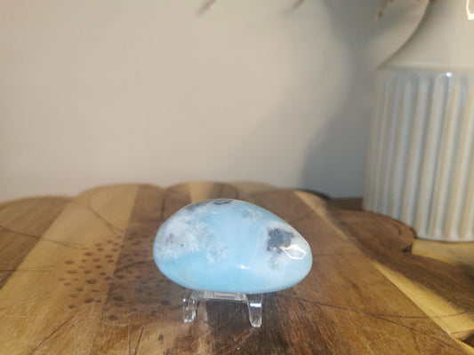 Caribbean Calcite Palm Stone🌊