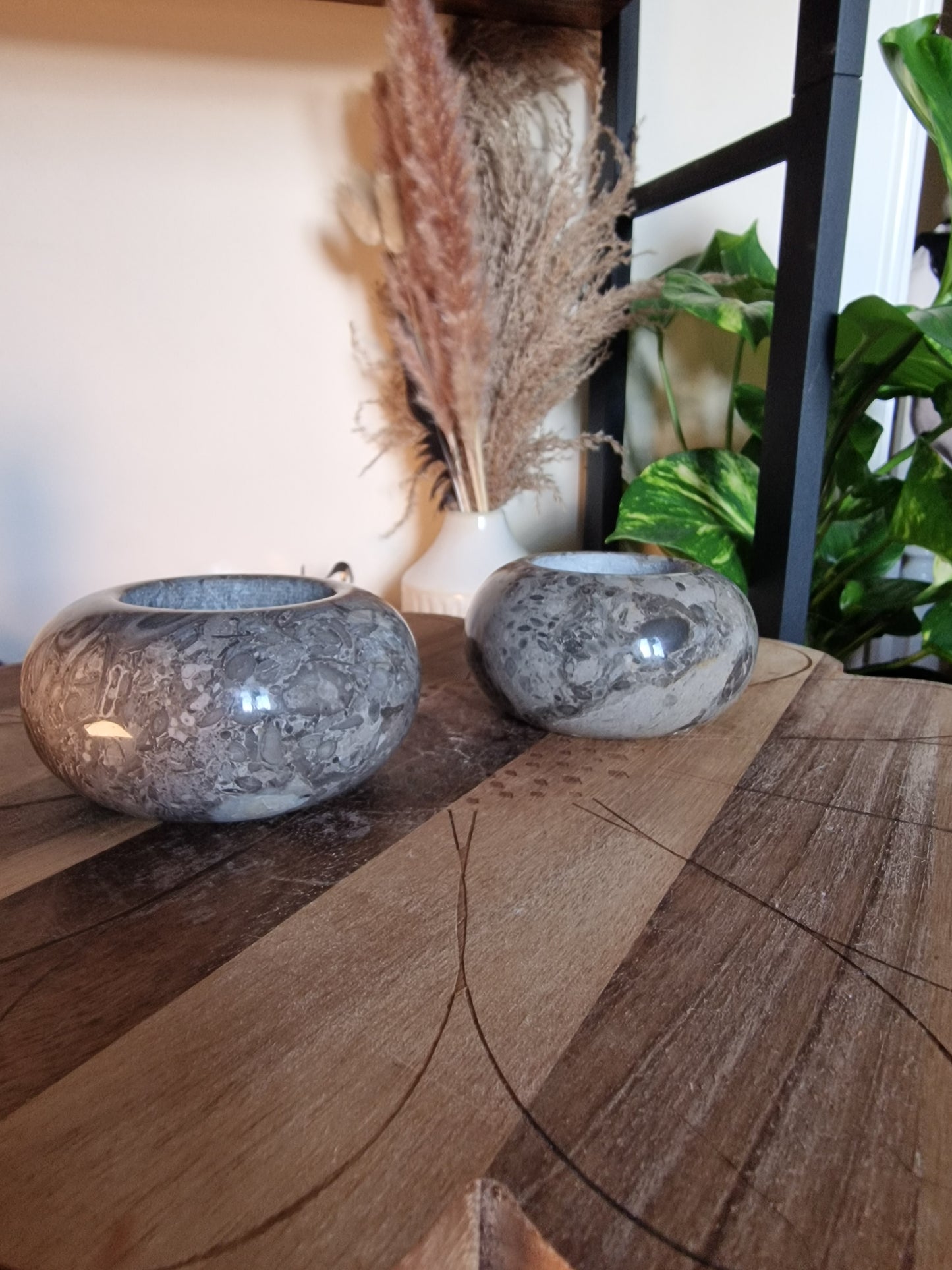 Fossil Stone Candle Holder🐚