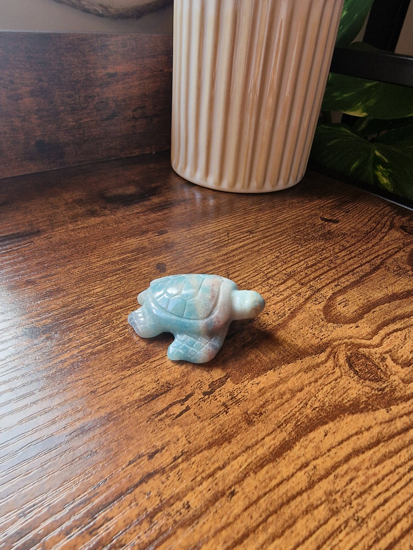 Caribbean Calcite Turtle (~5cm)
