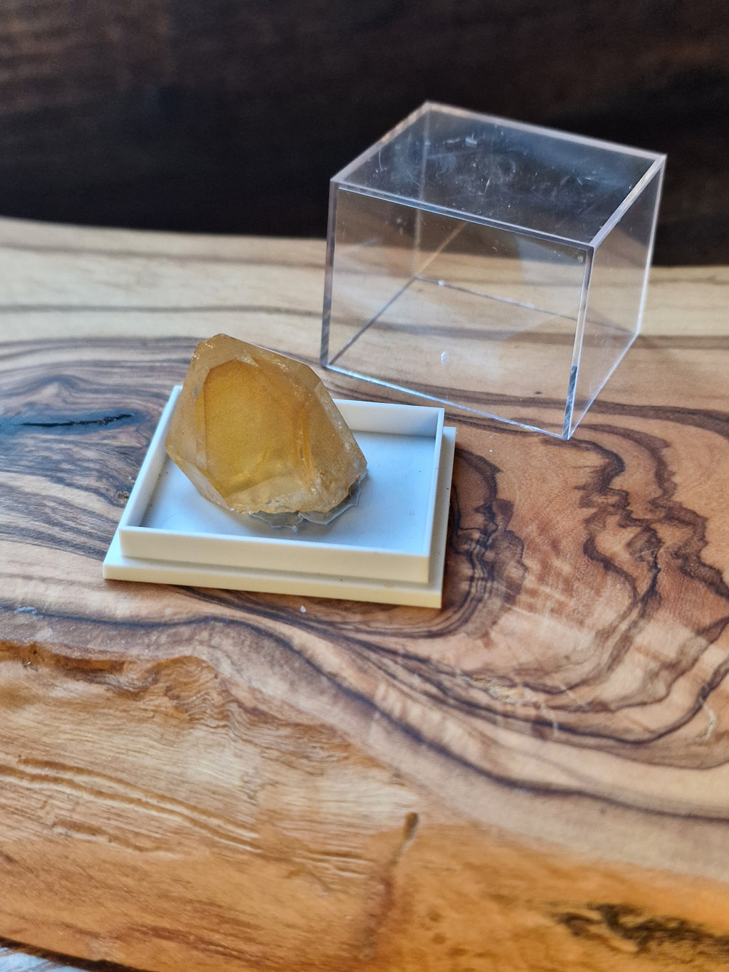 Golden Healer Quartz Point in Display Case