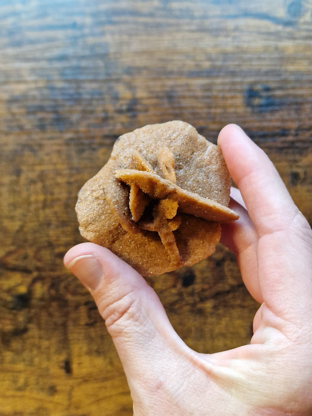 Moroccan Desert Rose Selenite