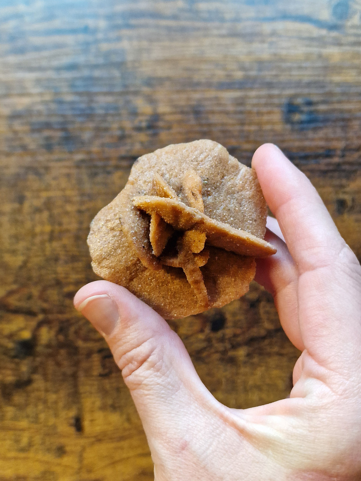 Moroccan Desert Rose Selenite
