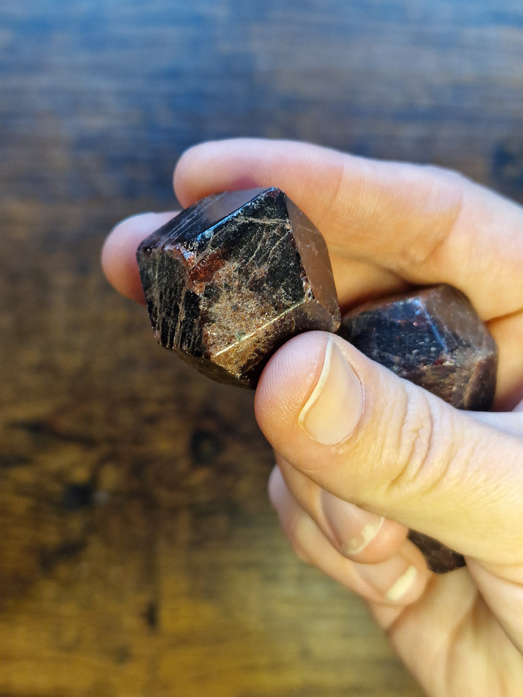 Polished Garnet