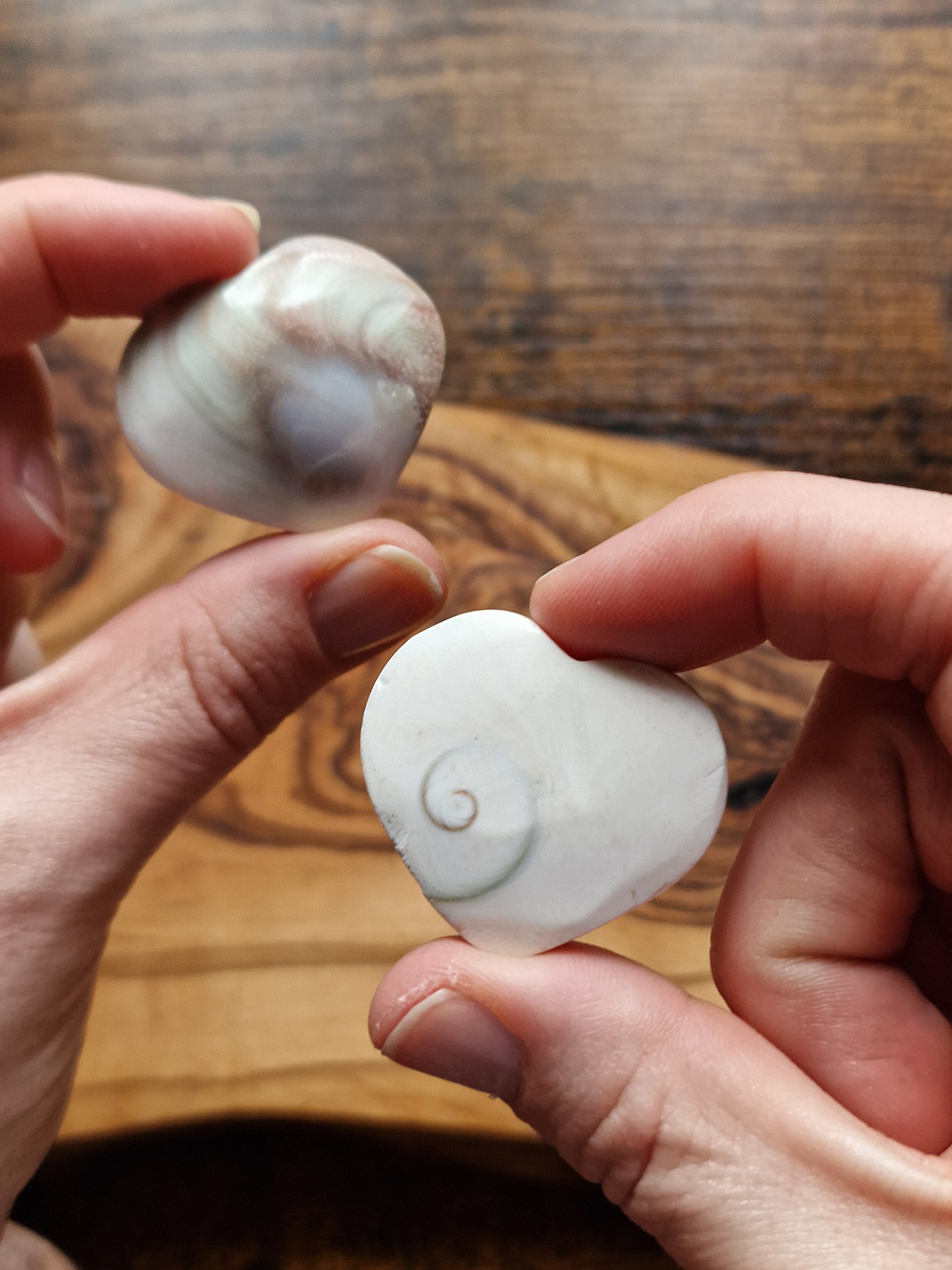 Shiva Shell Hearts