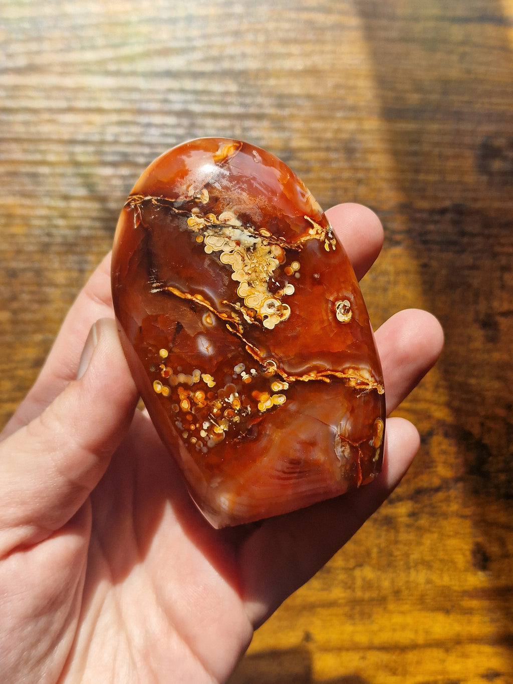 Carnelian Freeform