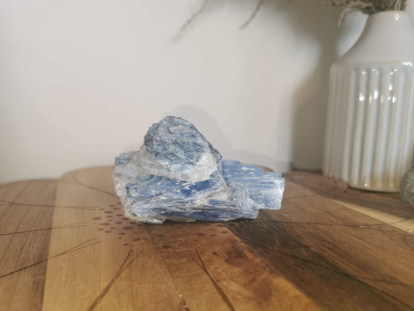 Raw Blue Kyanite with Quartz✨️