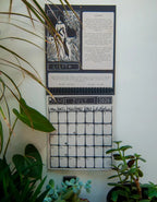 Sisters of Shadow 2027 Dark Goddess Calendar