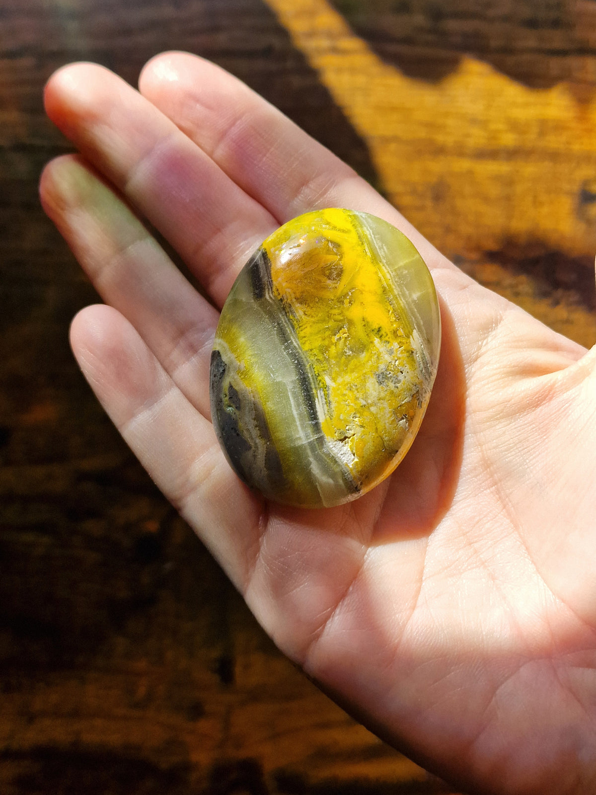 Bumblebee Jasper Palm Stones | Pick Your Own