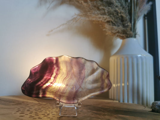 Fluorite shell dish🐚