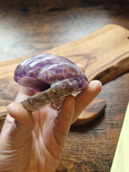 Amethyst & Crazy Lace Agate Shell Carving