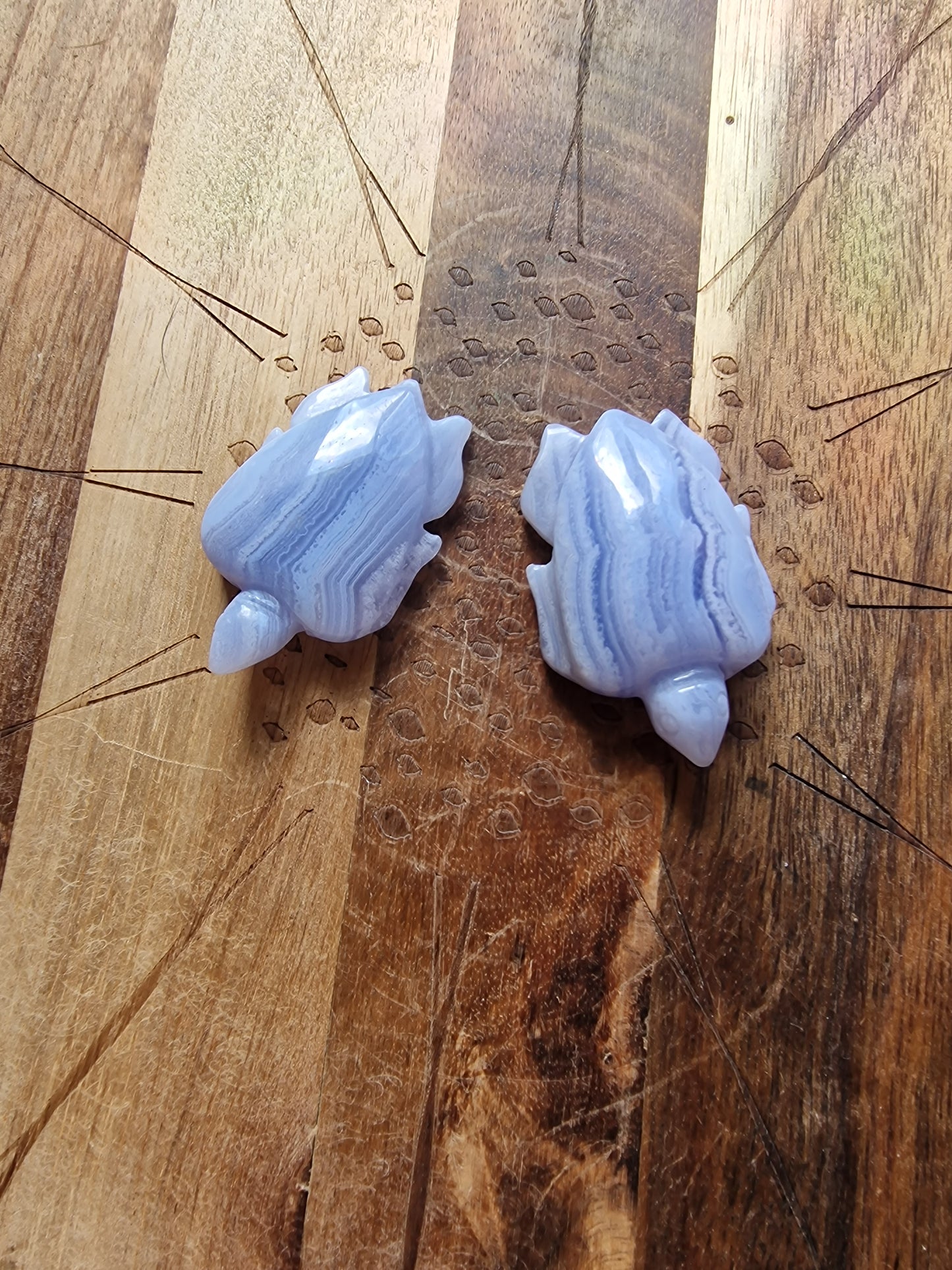 Blue Lace Agate Turtle Carving🐢
