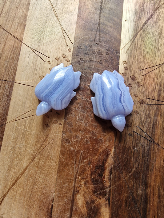 Blue Lace Agate Turtle Carving🐢