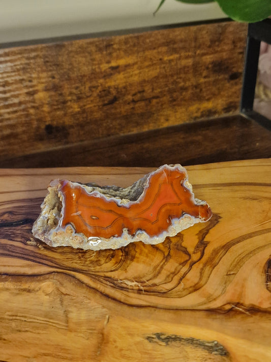 Malawi Agate Slice ~ Ngabu, Malawi ~ Polished Collector Piece