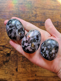 Indigo Gabbro Palmstone / Mystic Merlinite
