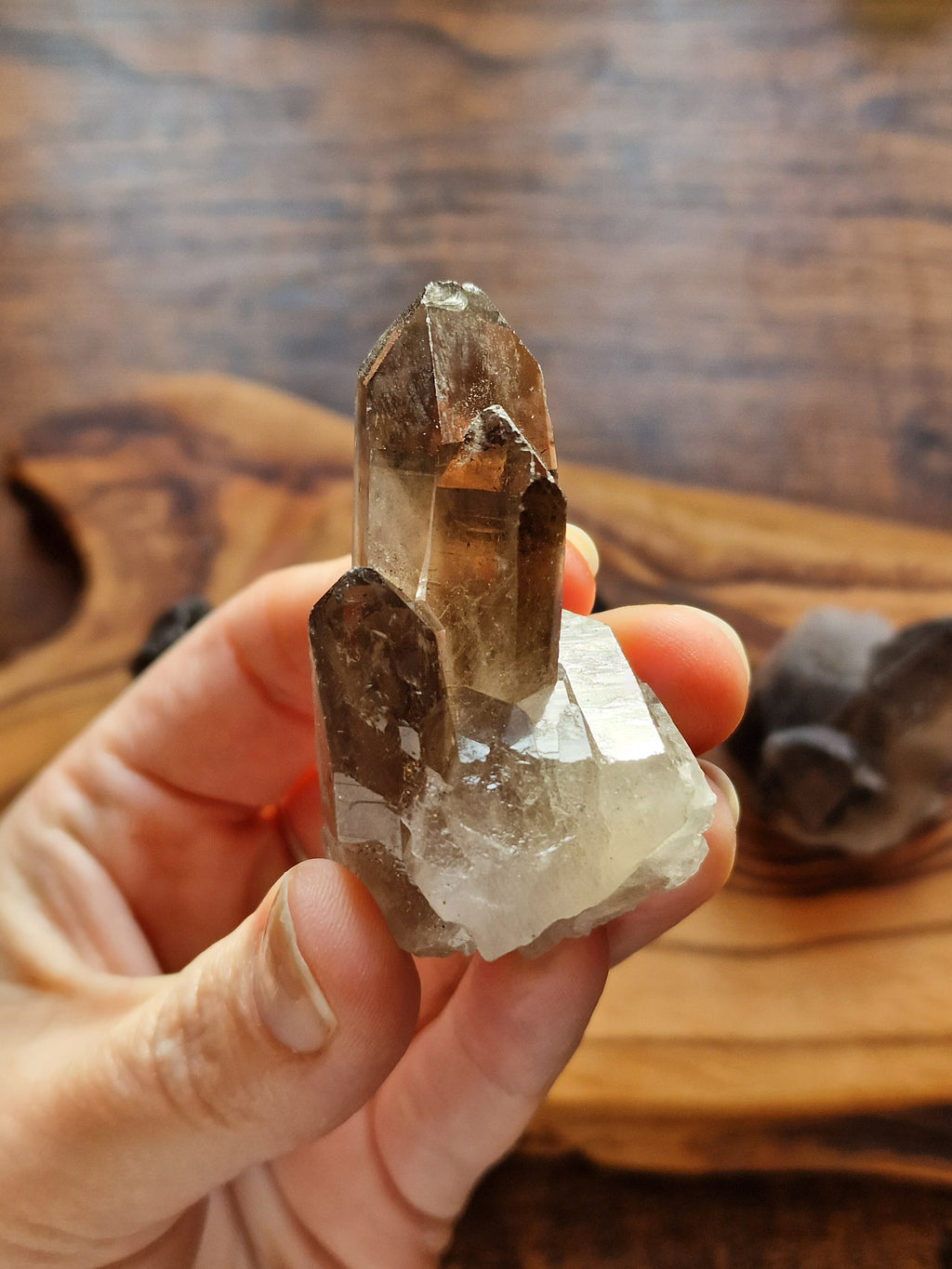 Smoky Quartz Cluster