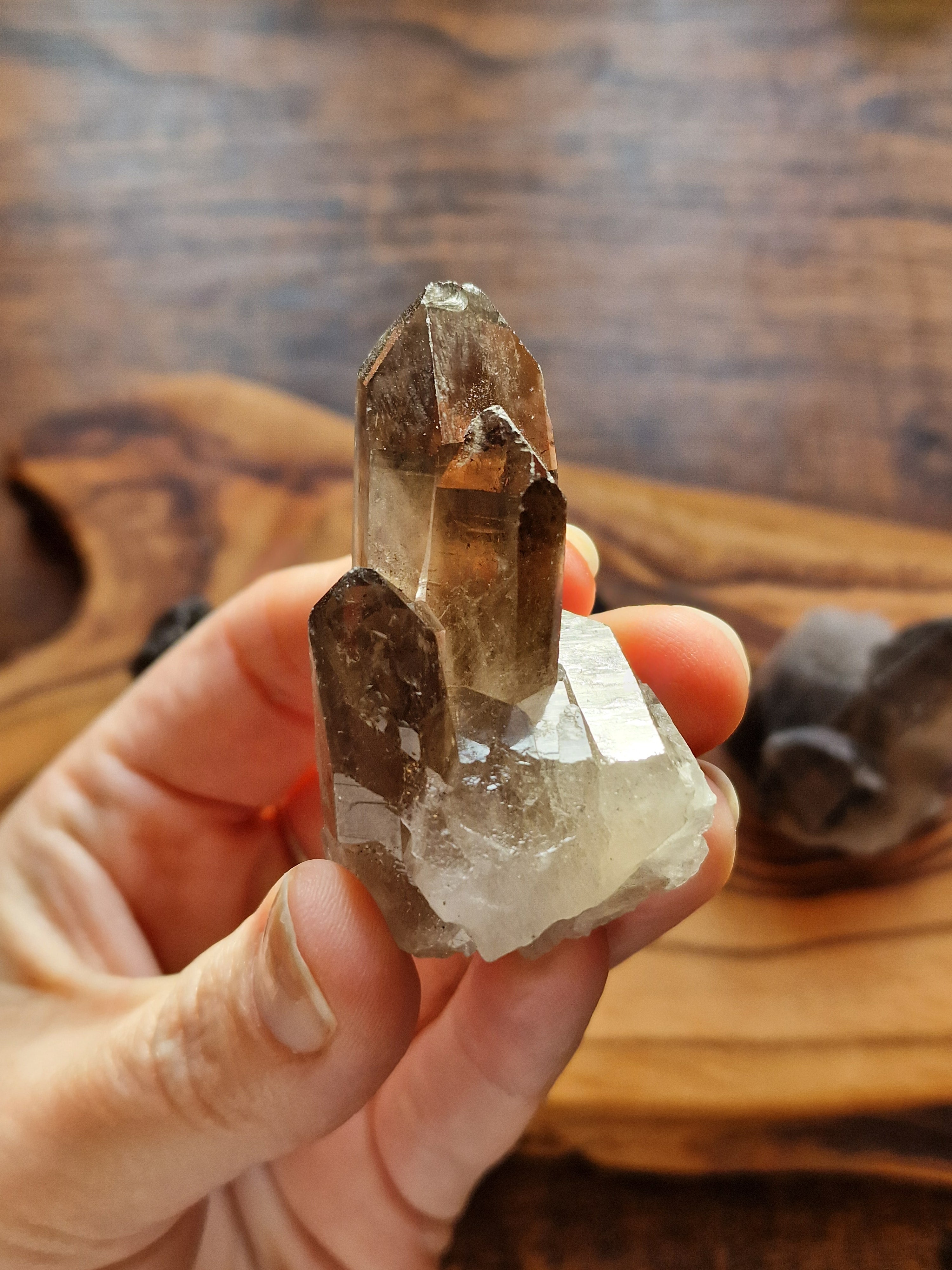 Smoky Quartz Cluster