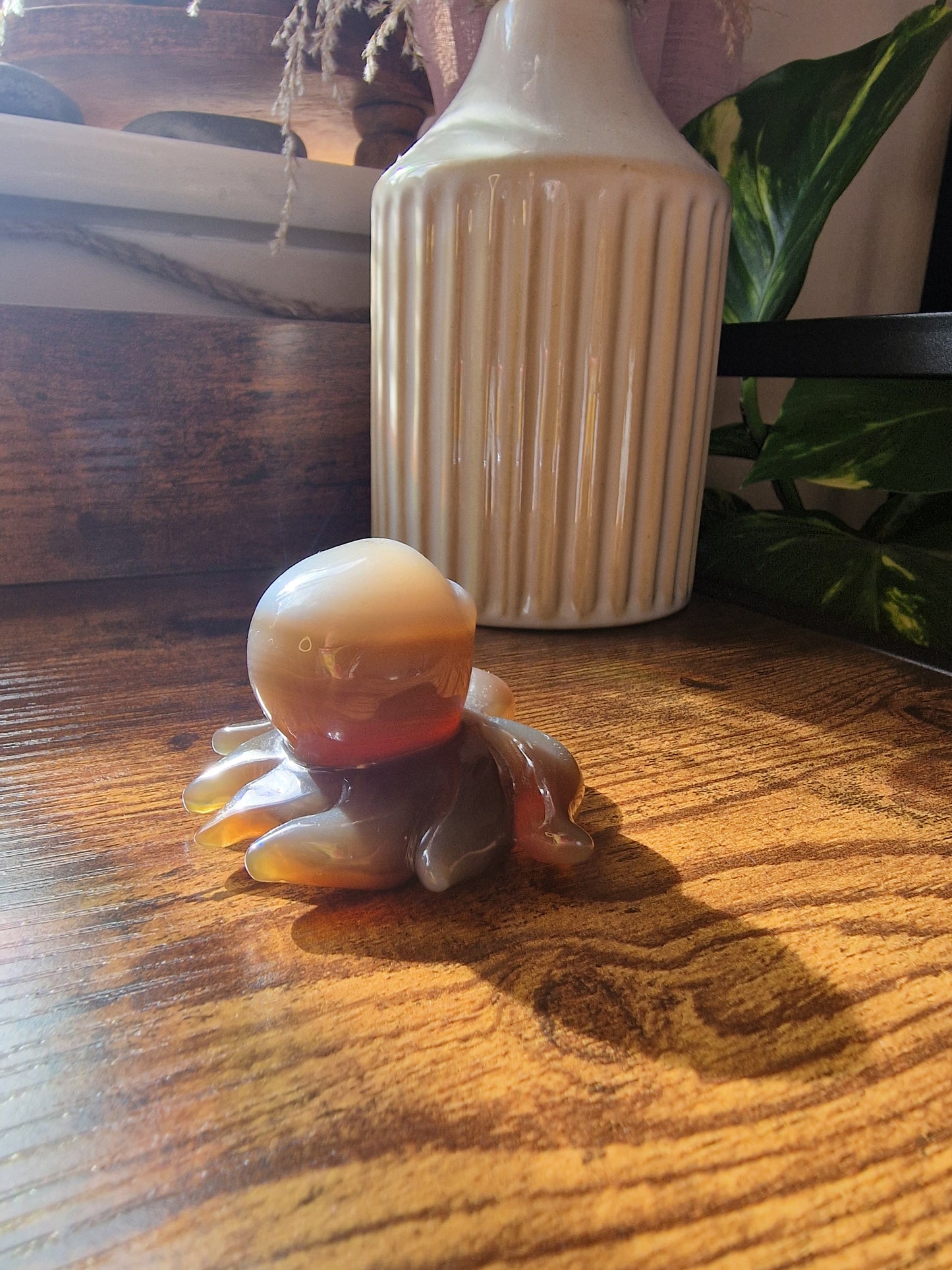 Banded Agate Octopus (5~6cm)