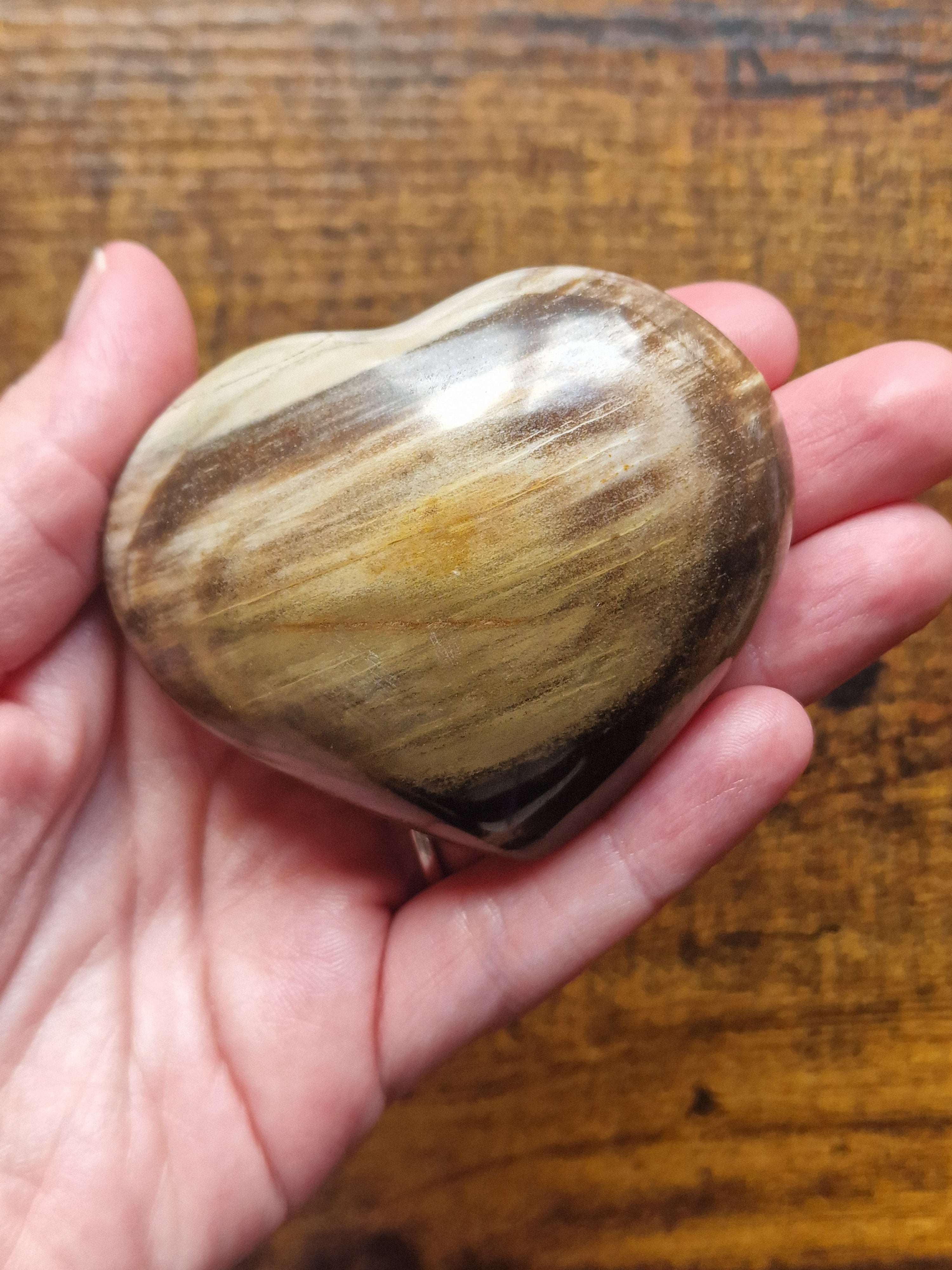 Fossilised Wood Heart