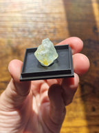Aquamarine Gemstone in Display Case