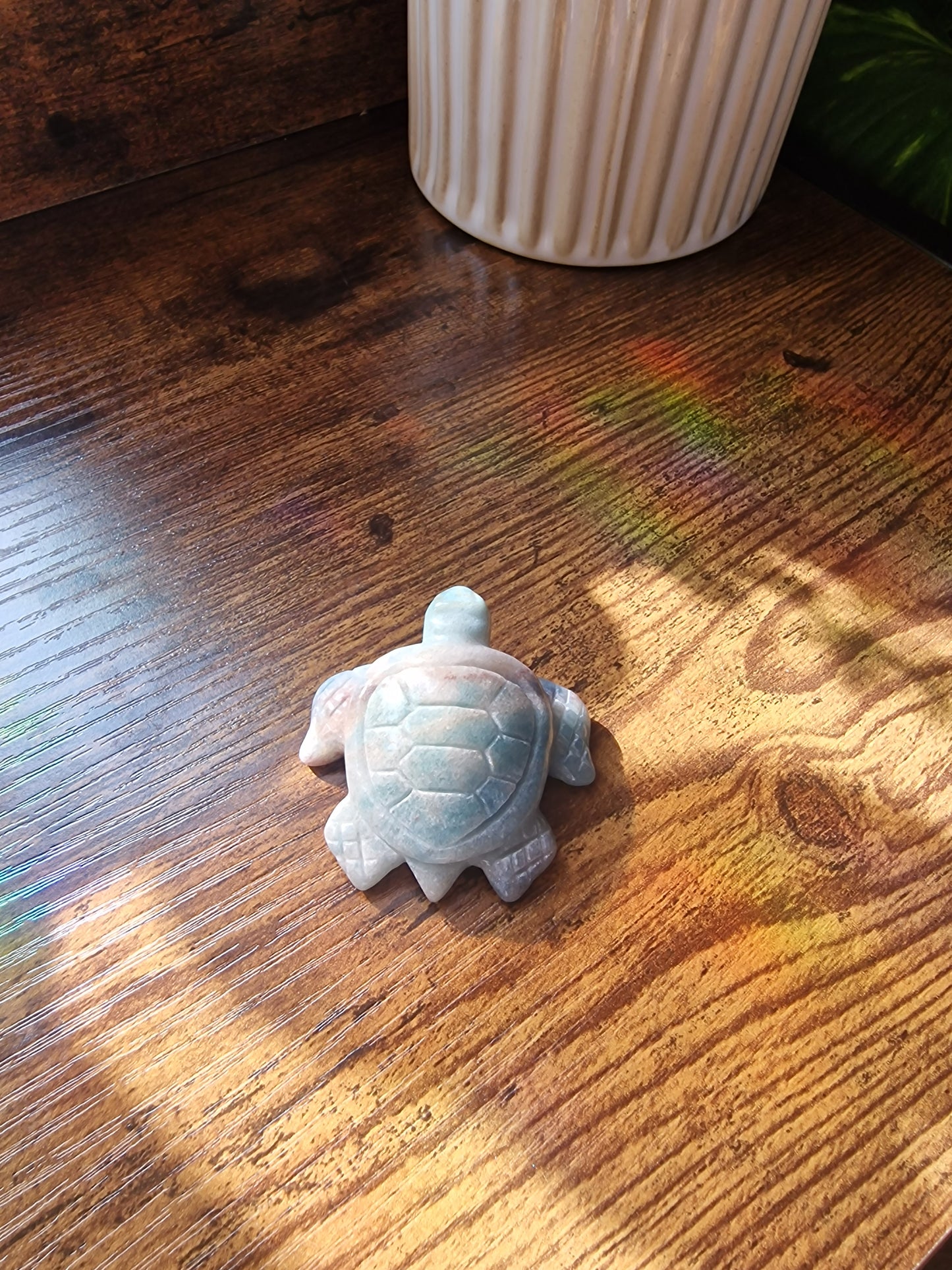Caribbean Calcite Turtle (~5cm)