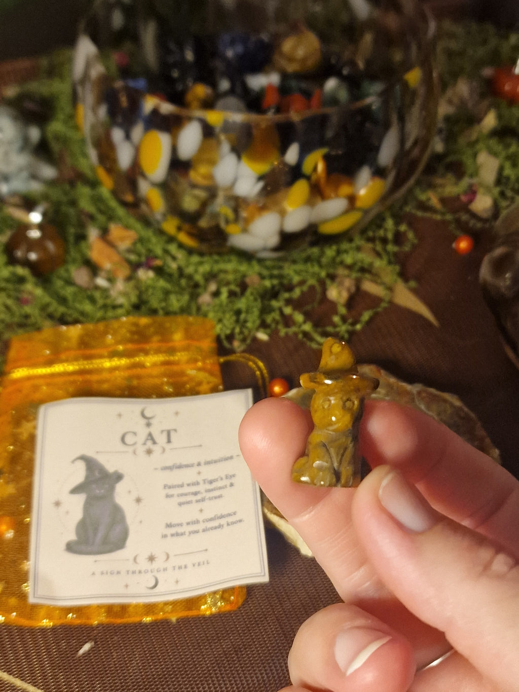 Jar of Signs • Samhain Edition | A Sign Through the Veil