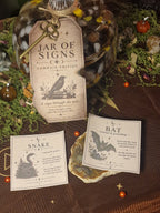 Jar of Signs • Samhain Edition | A Sign Through the Veil