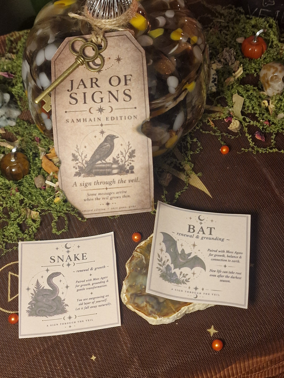 Jar of Signs • Samhain Edition | A Sign Through the Veil