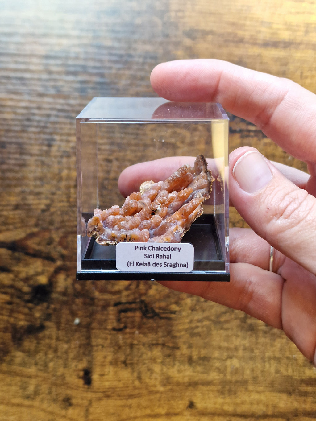 Pink Chalcedony Botryoidal Formation in Display Case