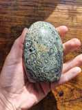 Kambaba Jasper Free Form
