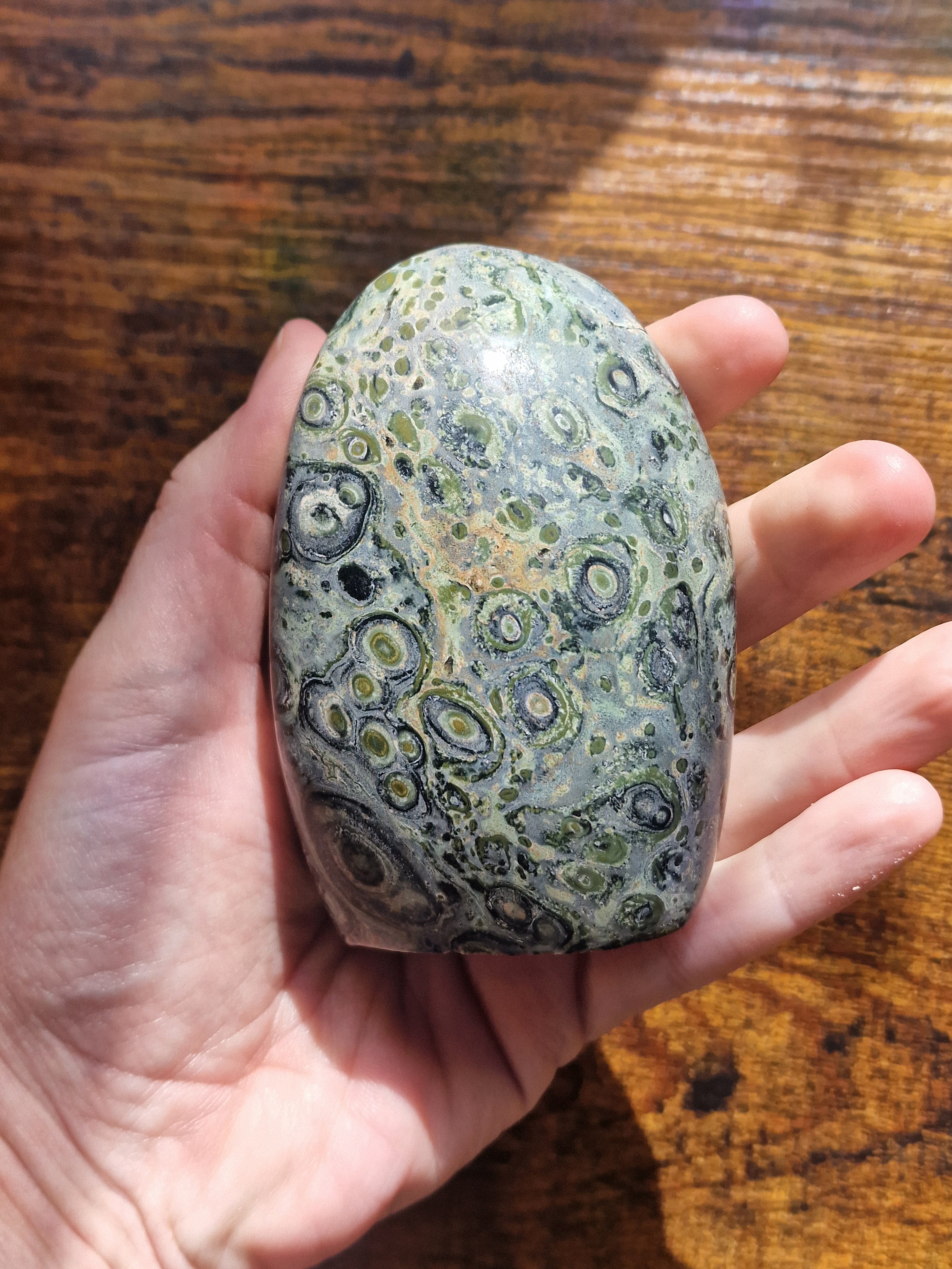 Kambaba Jasper Free Form